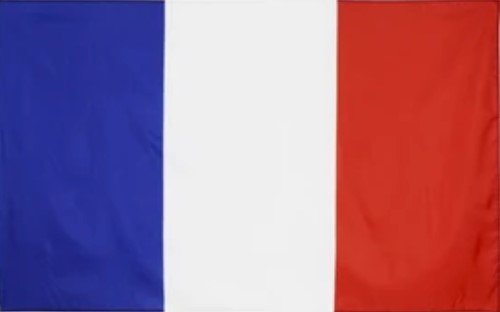 Clase de francés online